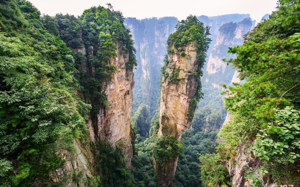 Zhangjiajie Nature Guide