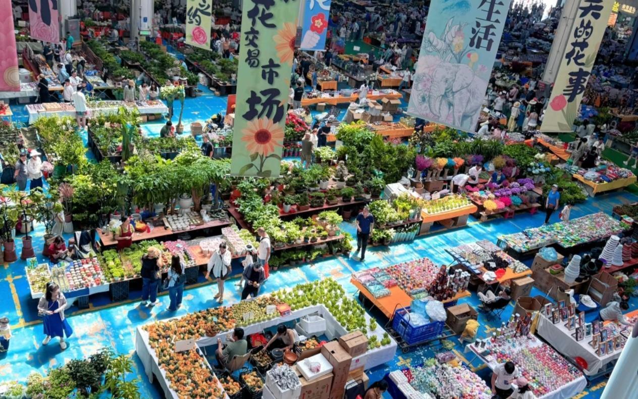 Dali Lijiang Deep Travel